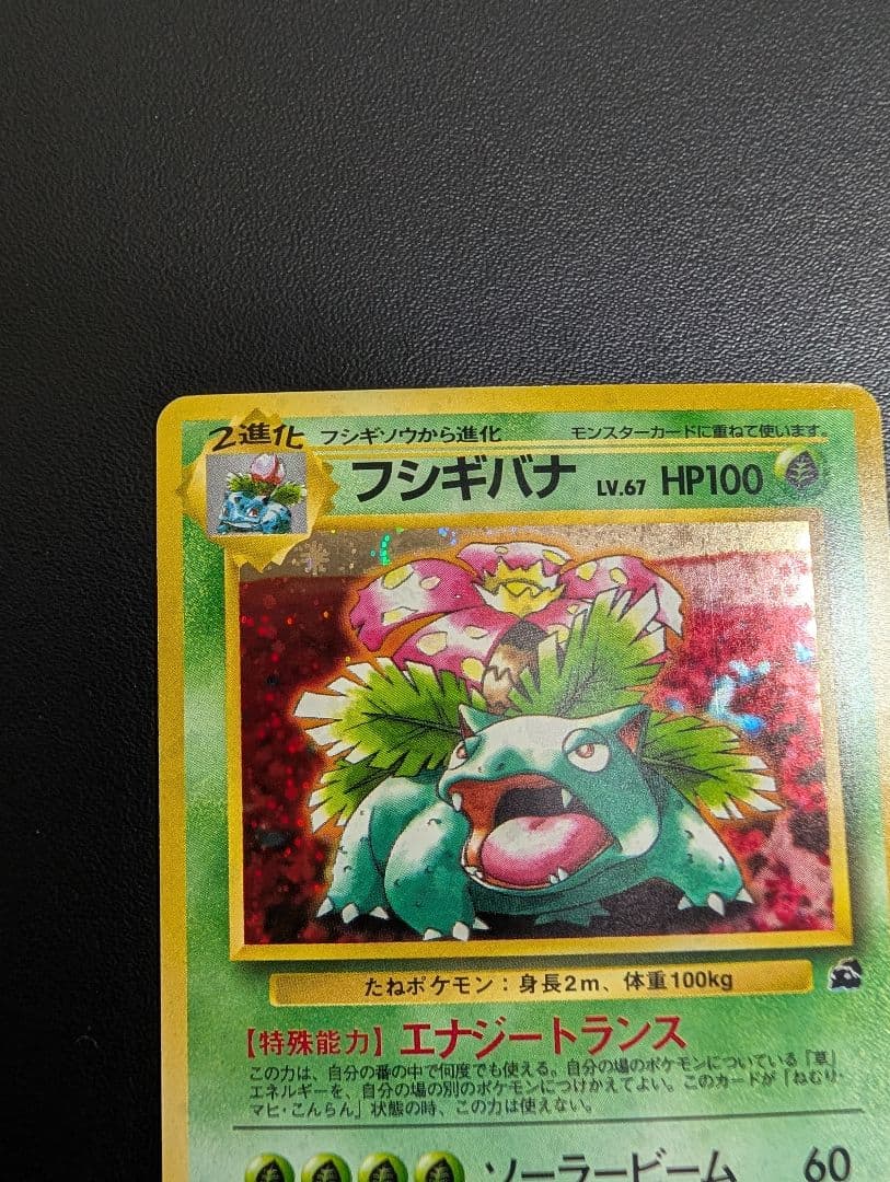 フシギバナ イントロパック 旧裏