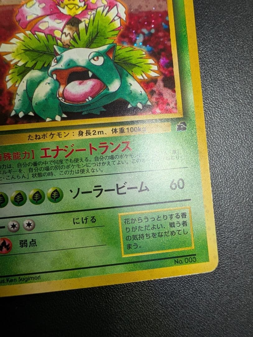 フシギバナ イントロパック 旧裏