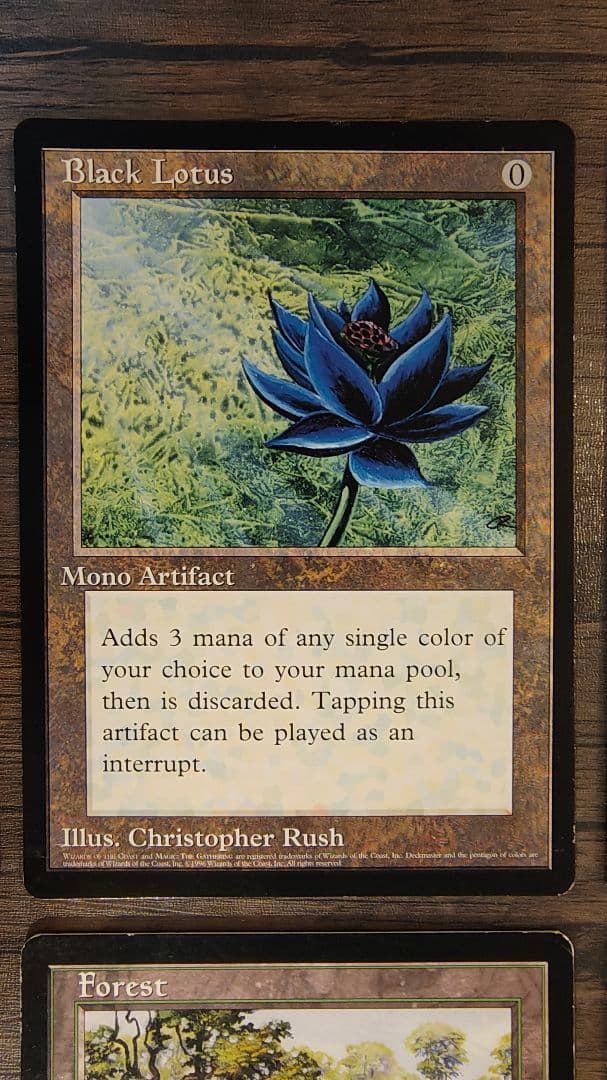 大判カード Black Lotus Serra Angel等 合計６枚 MTG