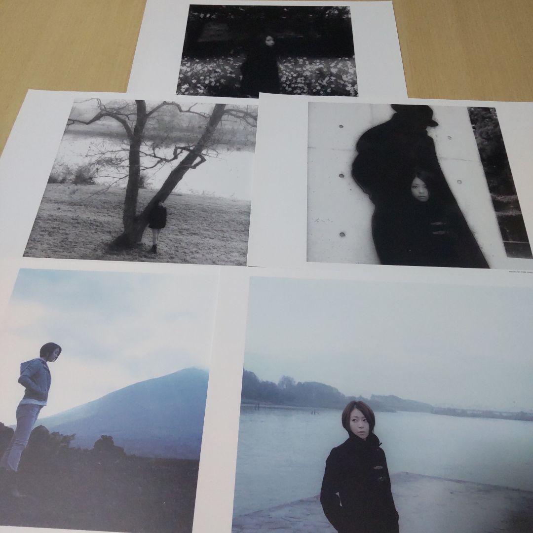 【非売品】宇多田ヒカル ぼくはくま Tシャツ ミニポスター ポートレート セット