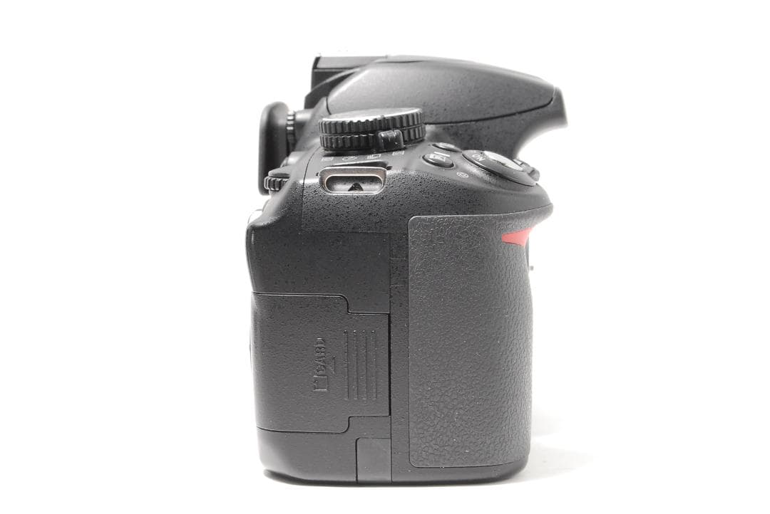 Nikon D3100　スマホ転送　万能の手振れ補正レンズ　写真も動画もOK