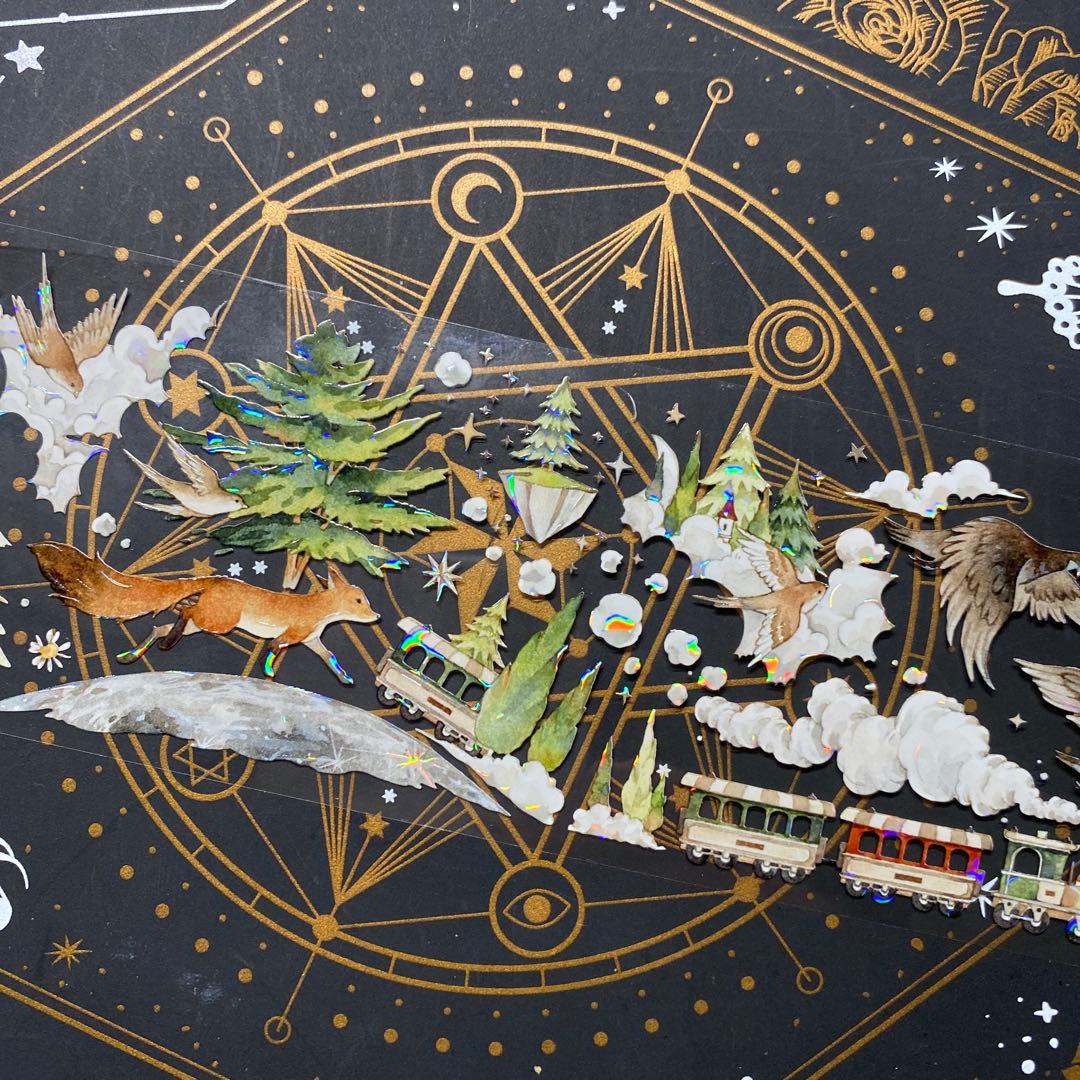 【9258】海外　マステ　中古巻　貝殻光マスキングテープ　人物系