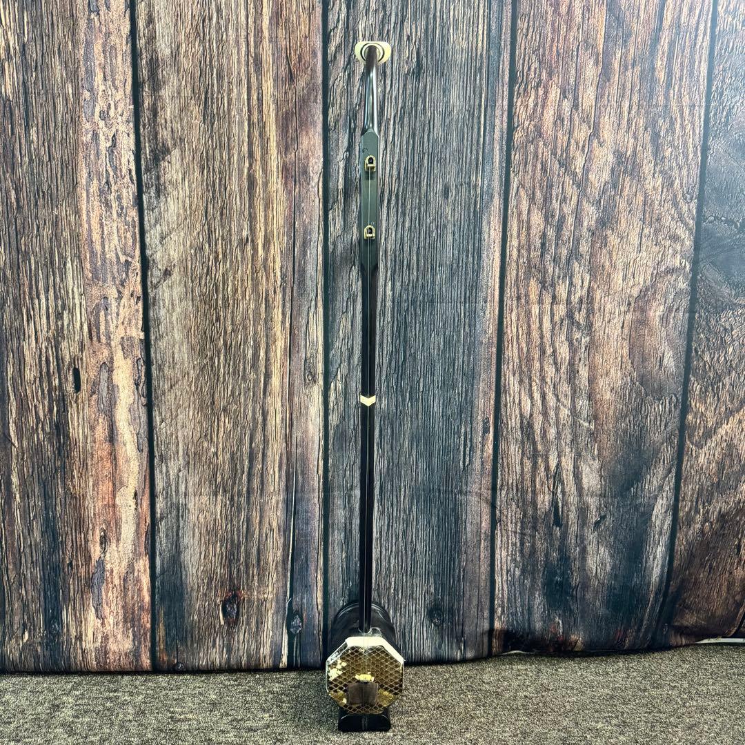 二胡 中国胡弓 中国琴 蛇皮 ケース付き 民族楽器 弦楽器