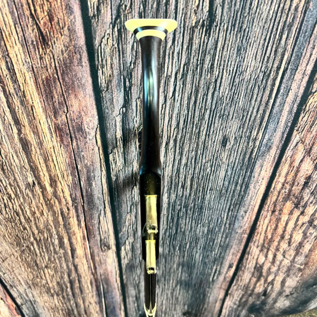 二胡 中国胡弓 中国琴 蛇皮 ケース付き 民族楽器 弦楽器