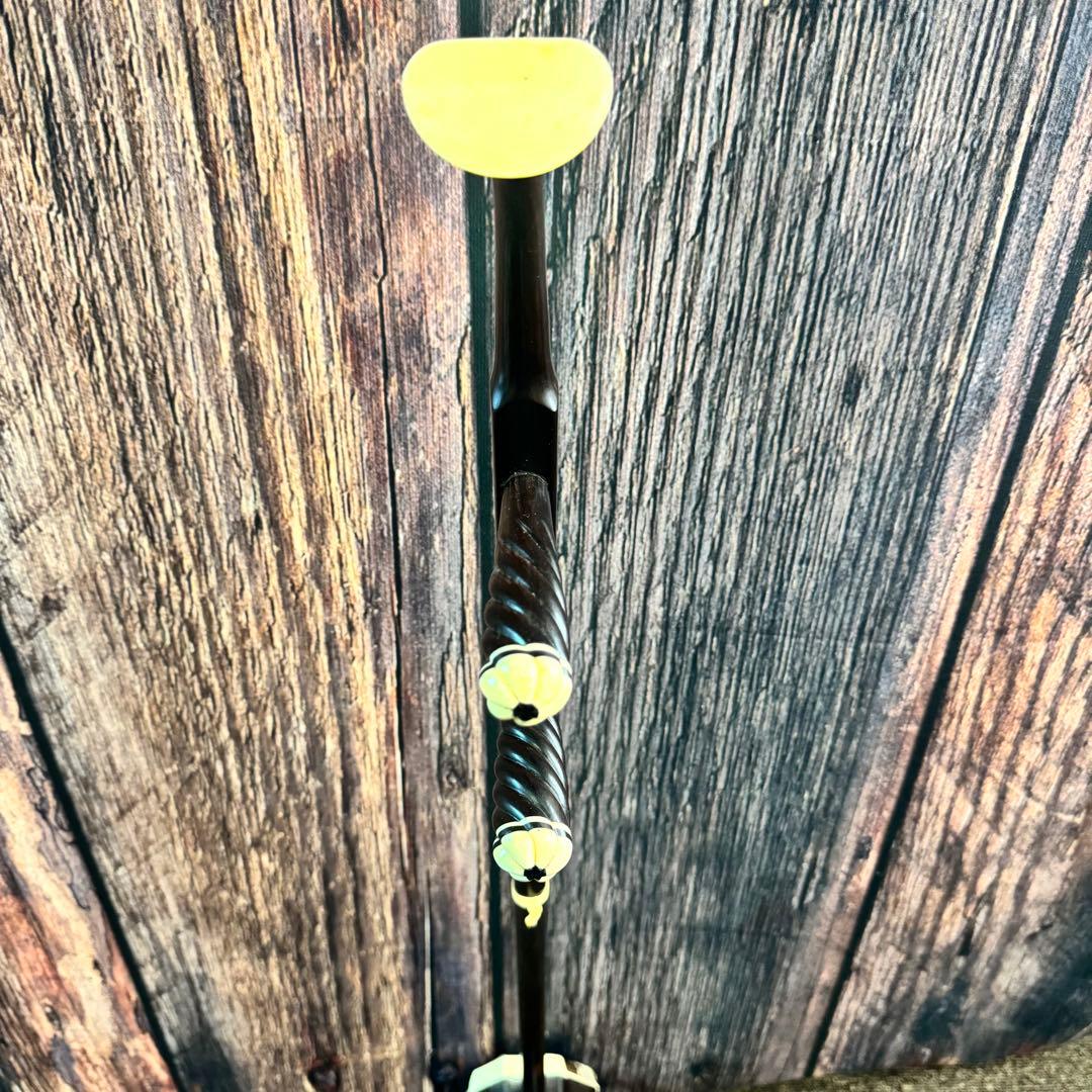 二胡 中国胡弓 中国琴 蛇皮 ケース付き 民族楽器 弦楽器