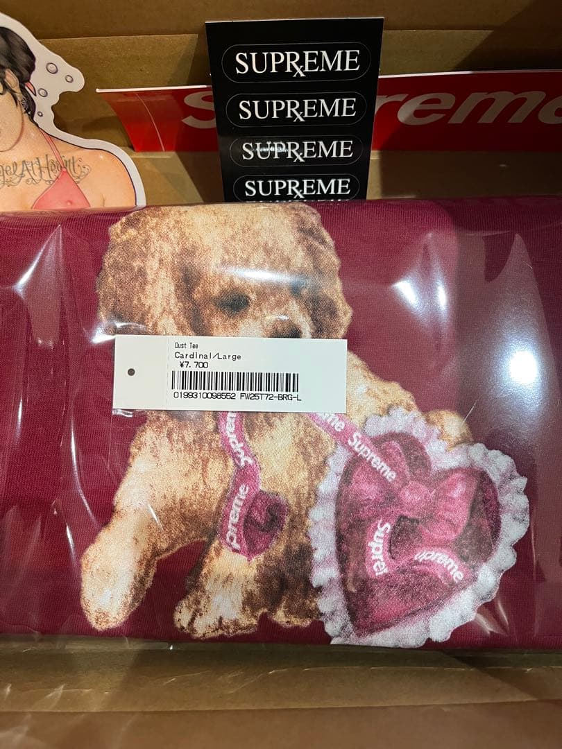 Supreme Dust Tee \"Cardinal\" シュプリーム