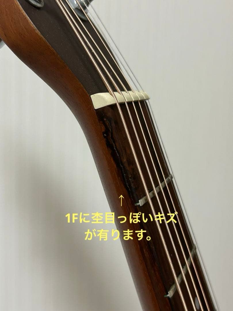 シーガル M6 スプルース　アコースティックギター