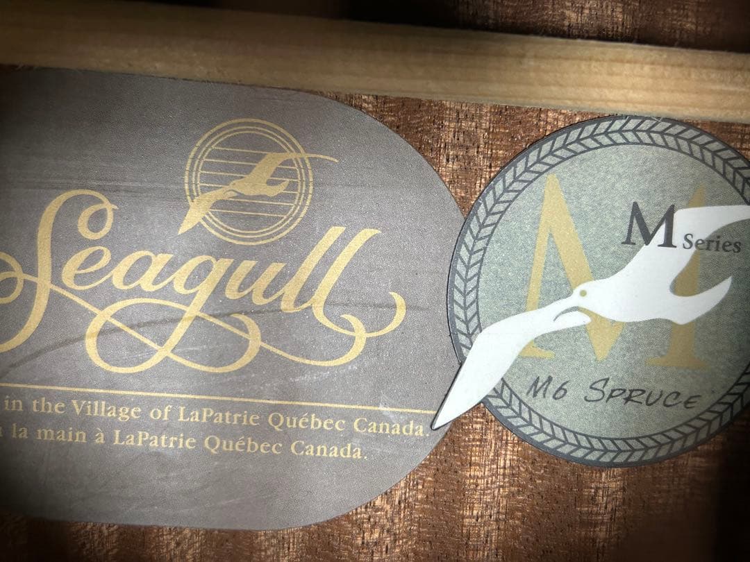 シーガル M6 スプルース　アコースティックギター