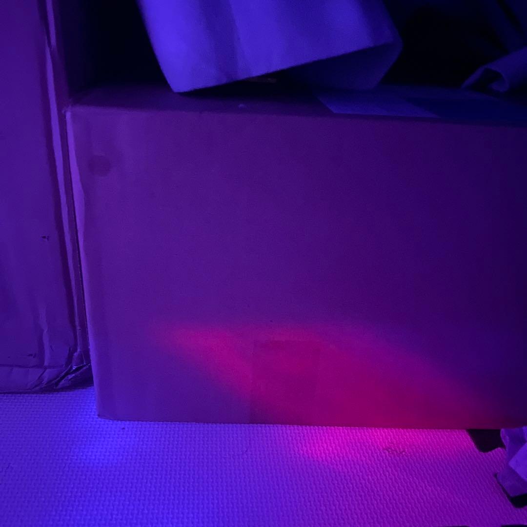 Hunter x Hunterガレージキットキルア・ゾルディック 約25cm