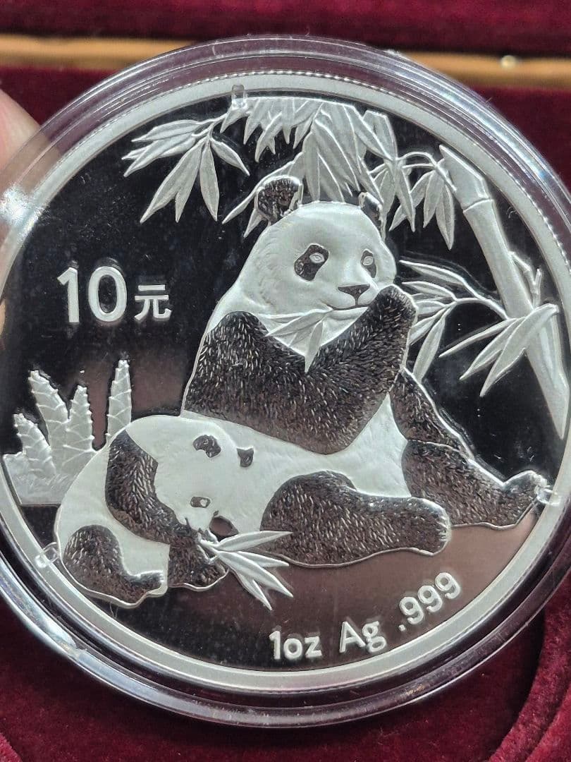 中華人民共和国 パンダ硬貨 10元 2007年