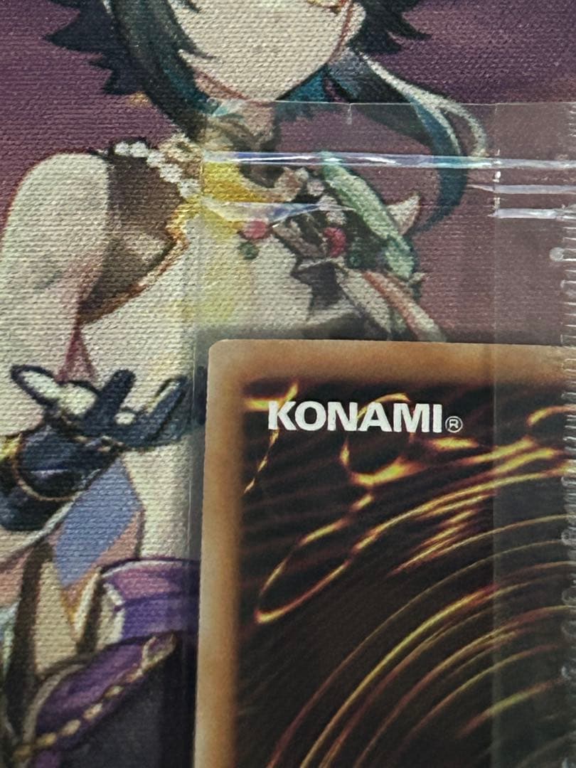 遊戯王OCG デュエルモンスターズ Dragon of IlluminationSanctuary's Shield