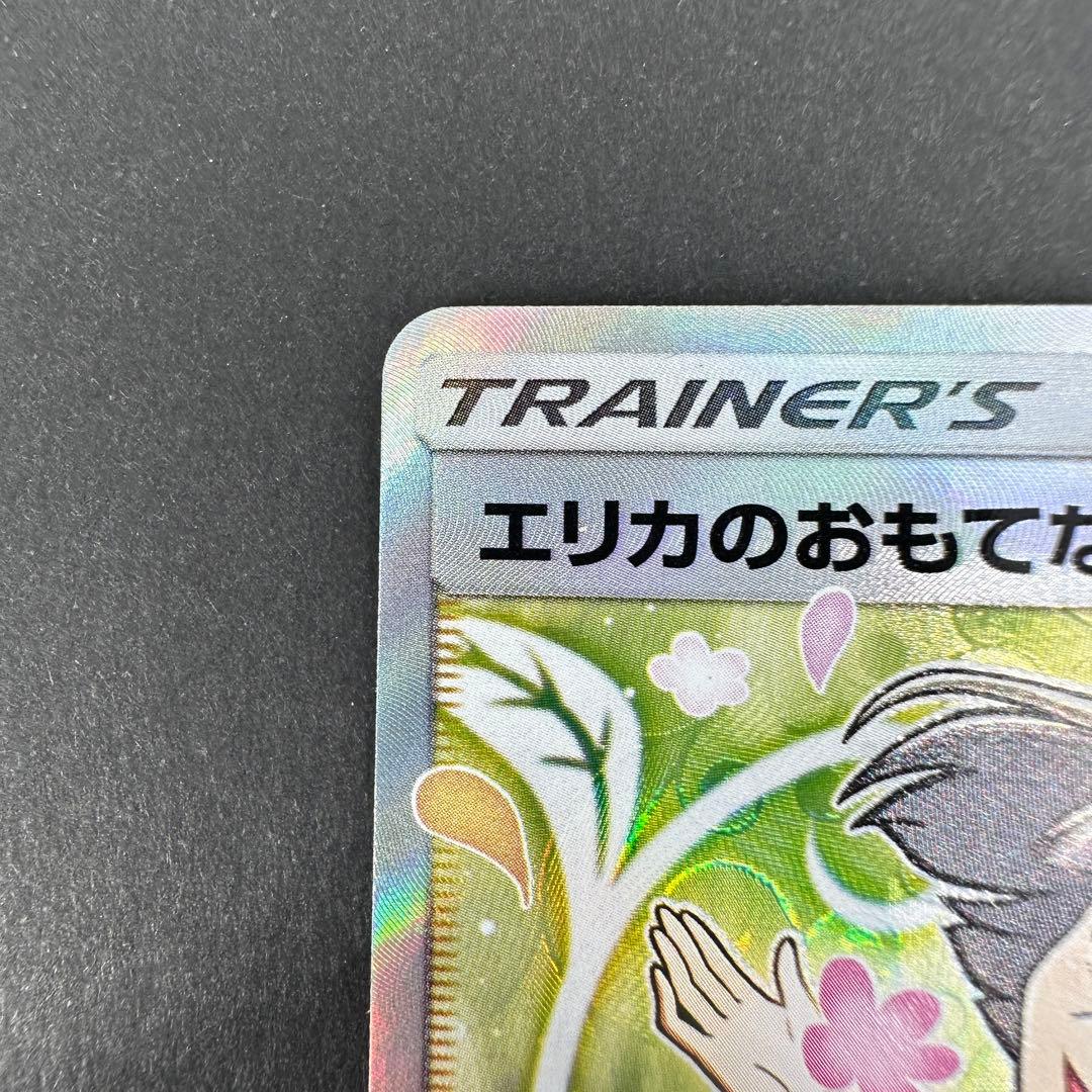 エリカのおもてなし sr