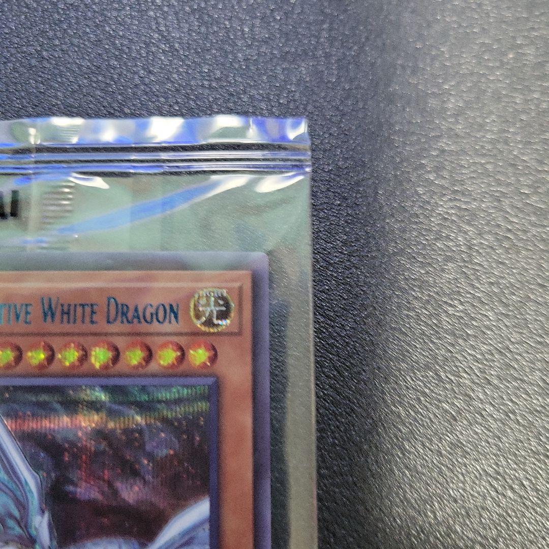 遊戯王　青眼の亜白龍　ブルーシークレット　英語　英語版　新品未開封　プロモ