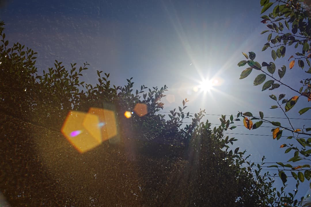 【奇跡の未使用級美品】 Super Takumar 35mm F2 前期型