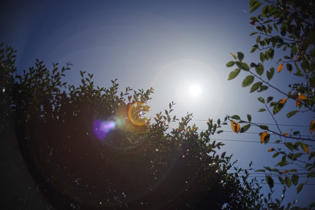 【奇跡の未使用級美品】 Super Takumar 35mm F2 前期型