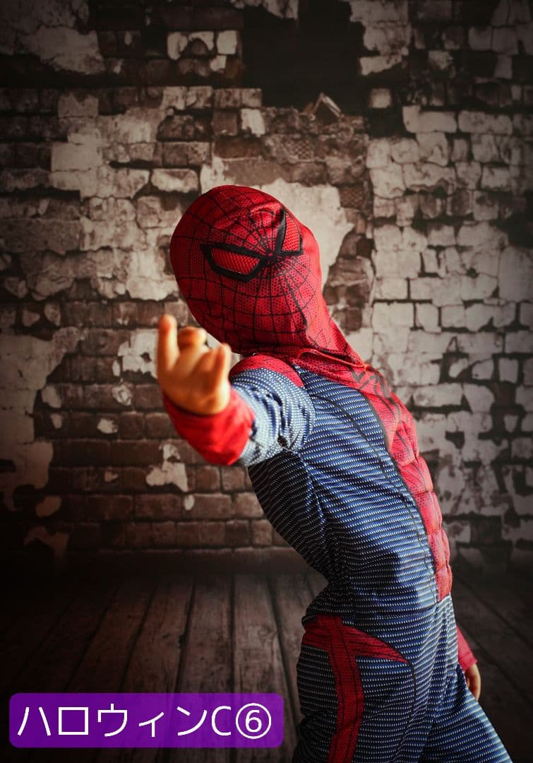 背景布【秋C】サンプル　ペット撮影用　紅葉　イチョウ　トリミングチョーカー販売中