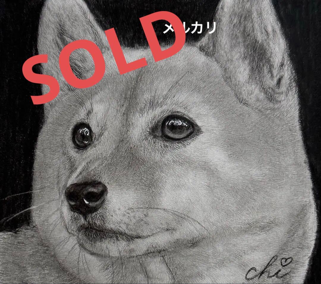 柴犬 シバイヌ 犬 原画 鉛筆画 絵画 手描き イラスト
