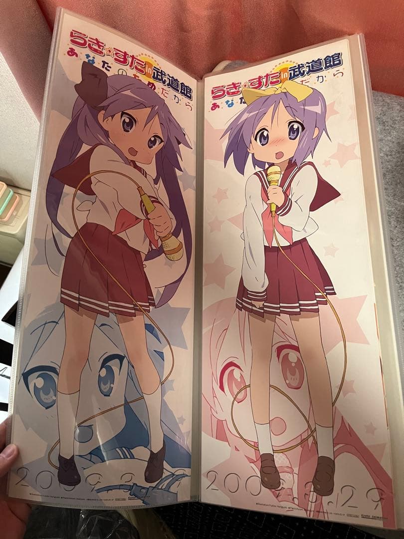 らき⭐︎すた　スティックポスター　武道館　10種セット