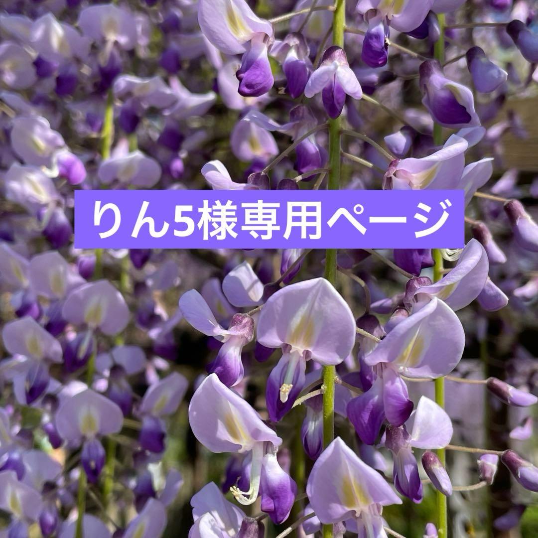 りん5ページ　ハンドメイドイヤリング4点