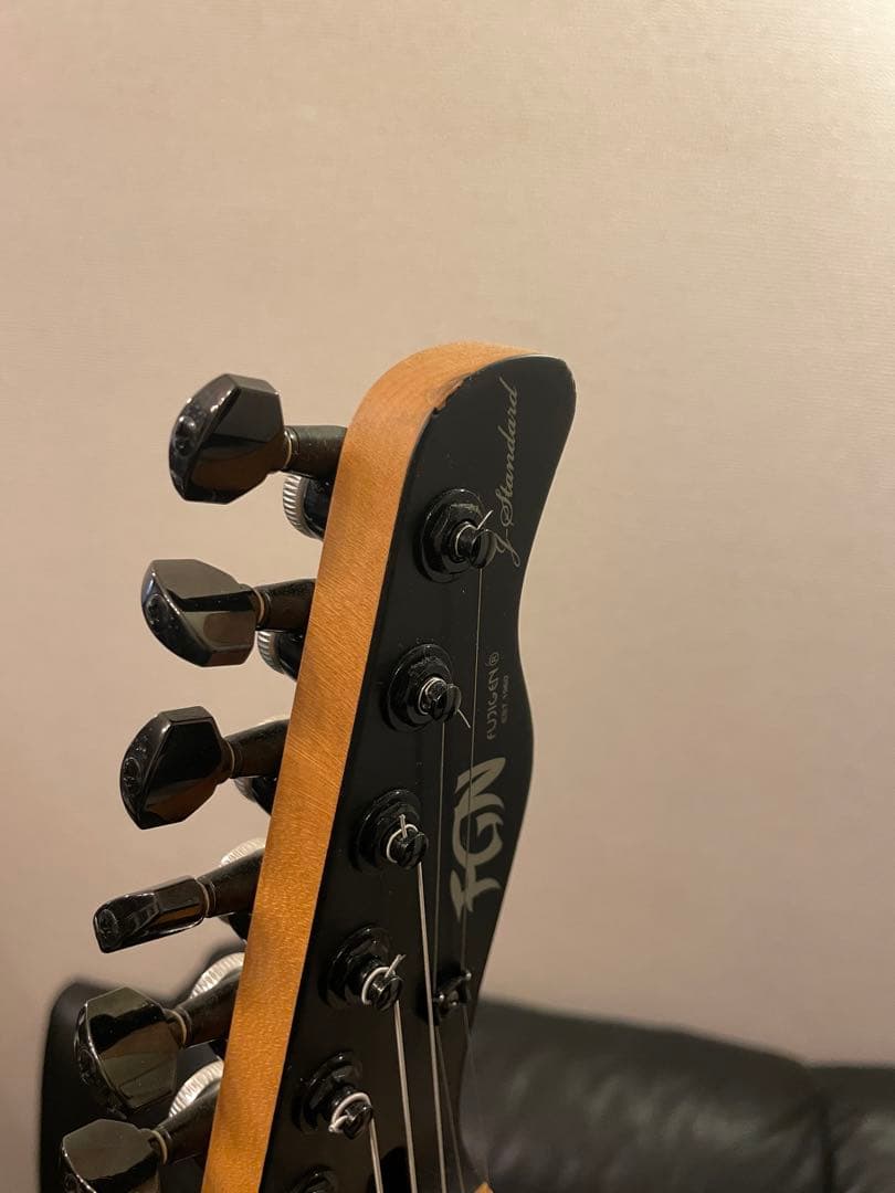 ギター Fujigen JIL-ASH-DE664-M