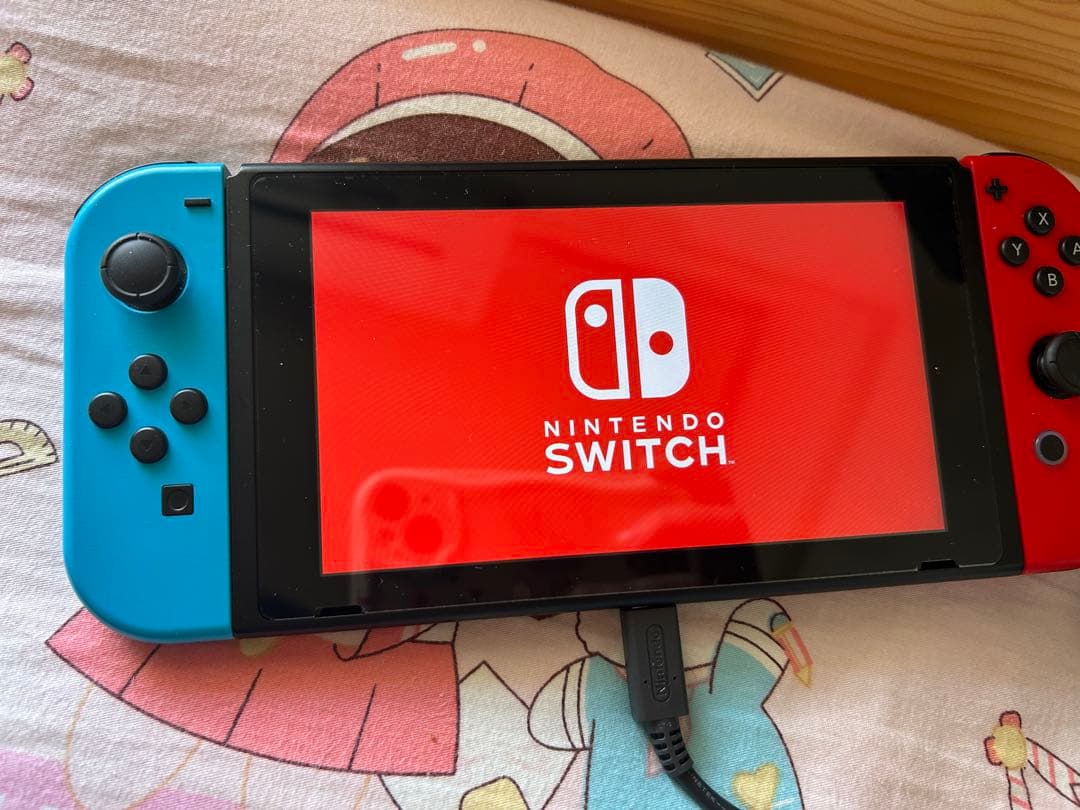 【断捨離Nintendo Switch 青/赤 本体写真についてるものになります