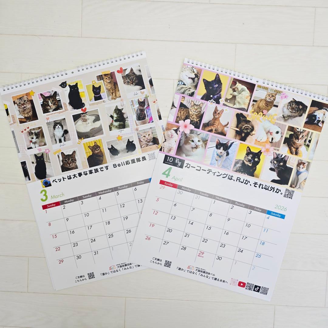 ①《猫》壁掛けチャリティーカレンダー10枚セット