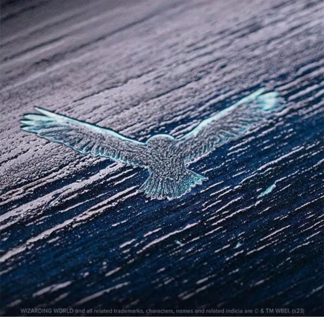 ハリー・ポッターDisplate Limited Edition チョウピラコ