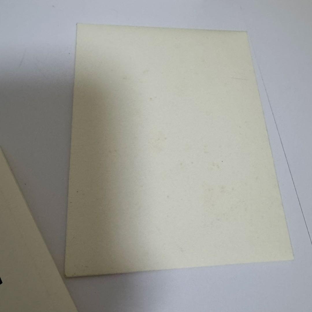 FENDI カール　iPhoneケース