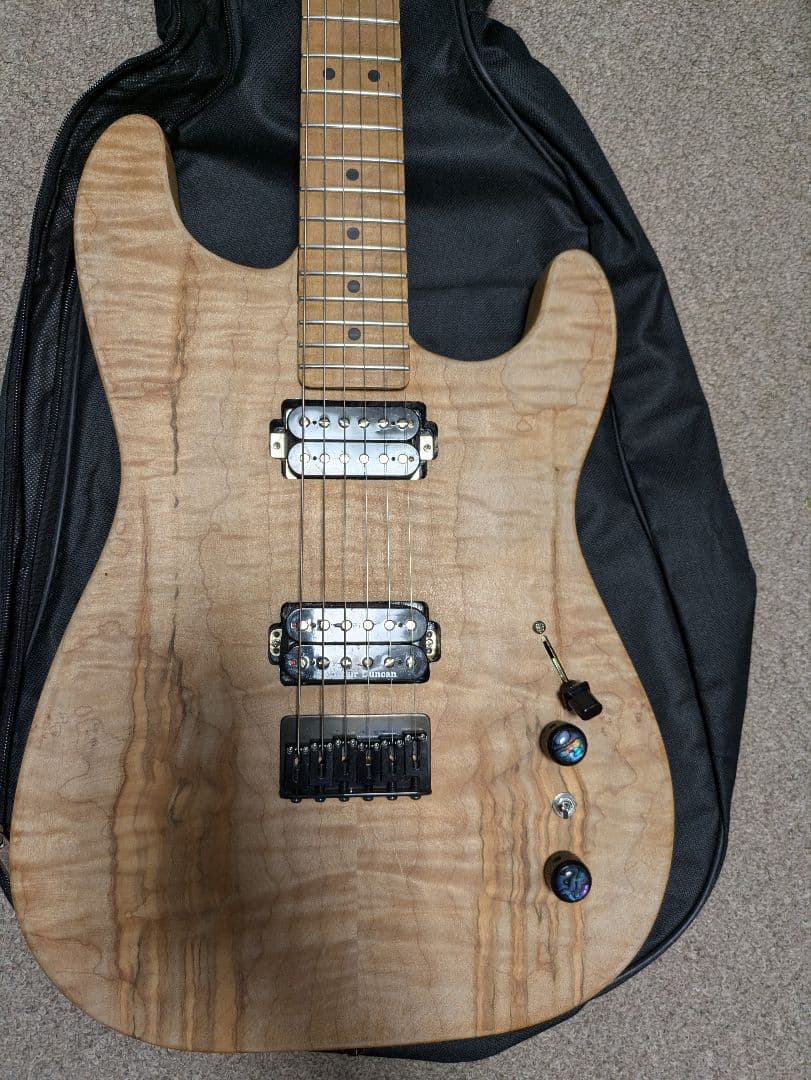 Warmothネック+MJTボディ コンポーネントギター