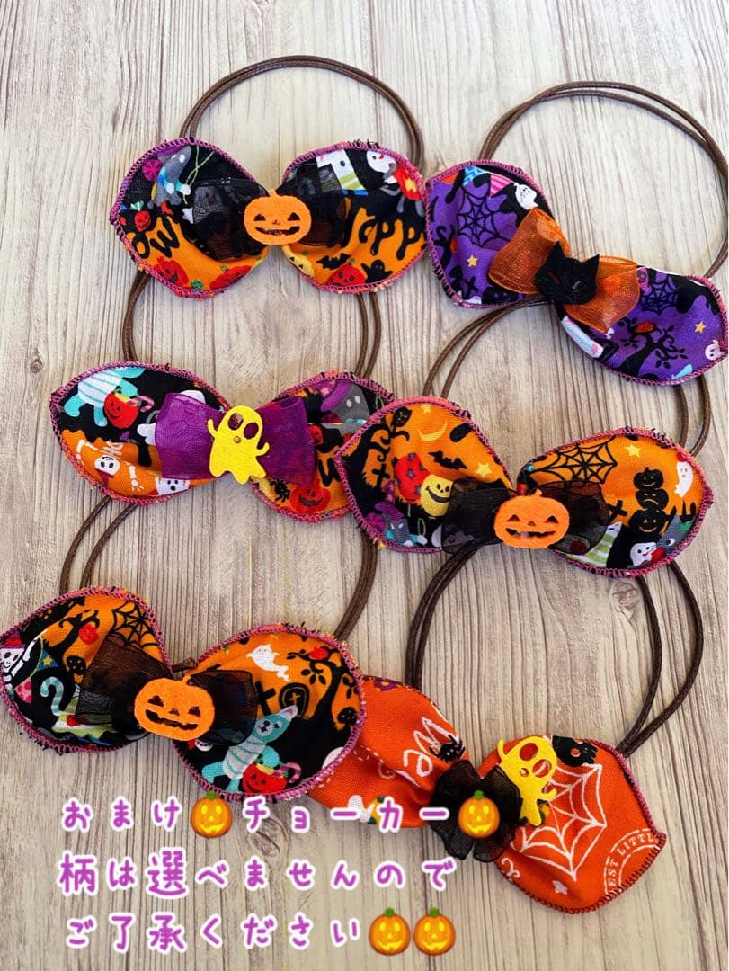 犬服  ラグラン(Ｓ)   ꒡̈⃝Lily꒡̈⃝ハンドメイド  ☆ハロウィン☆