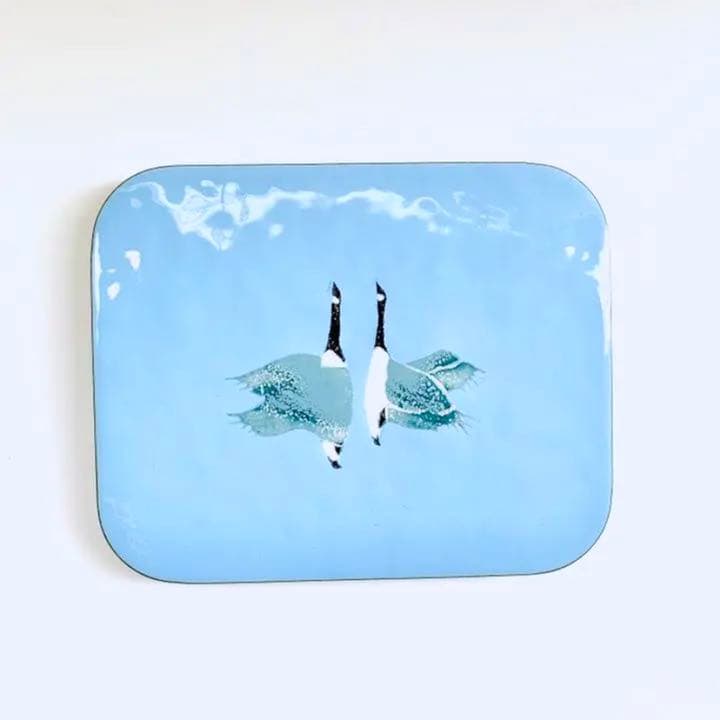 ✨希少作品✨絵皿✨MADE IN  FABRIQUE ✨7点SET✨