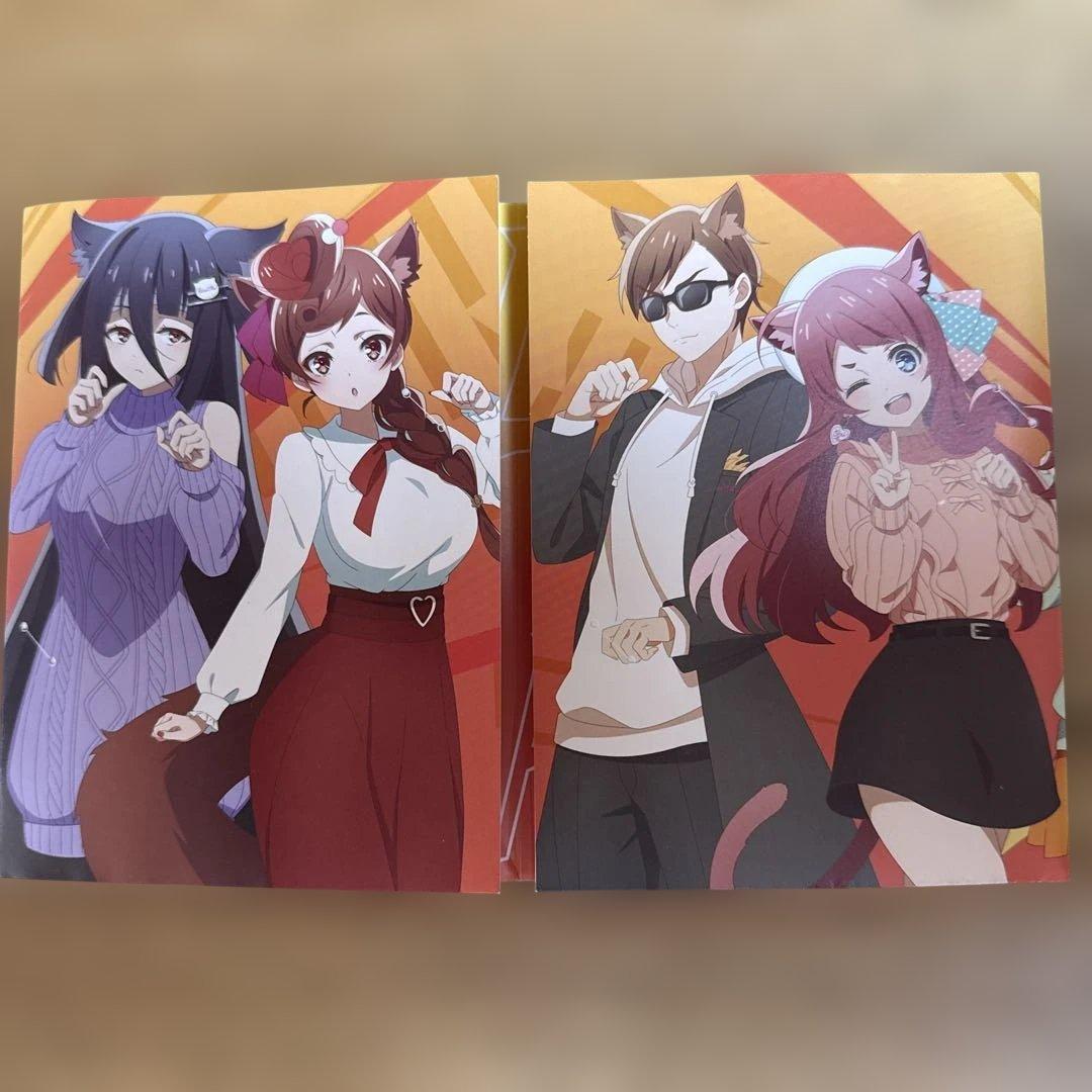 ゆめぎんがパラダイス　コンプリート特典カードケースのみ