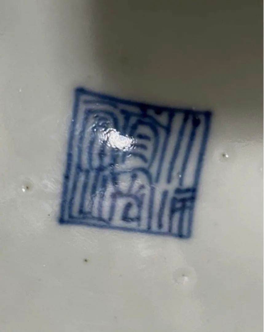 清時代 骨董品 染付皿 大清道光年製 中国 陶芸古美術。