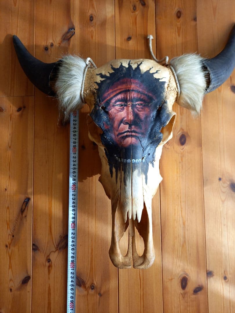 #バッファロースカル　#牛頭骨　#オブジェ　牛骨　2個セット