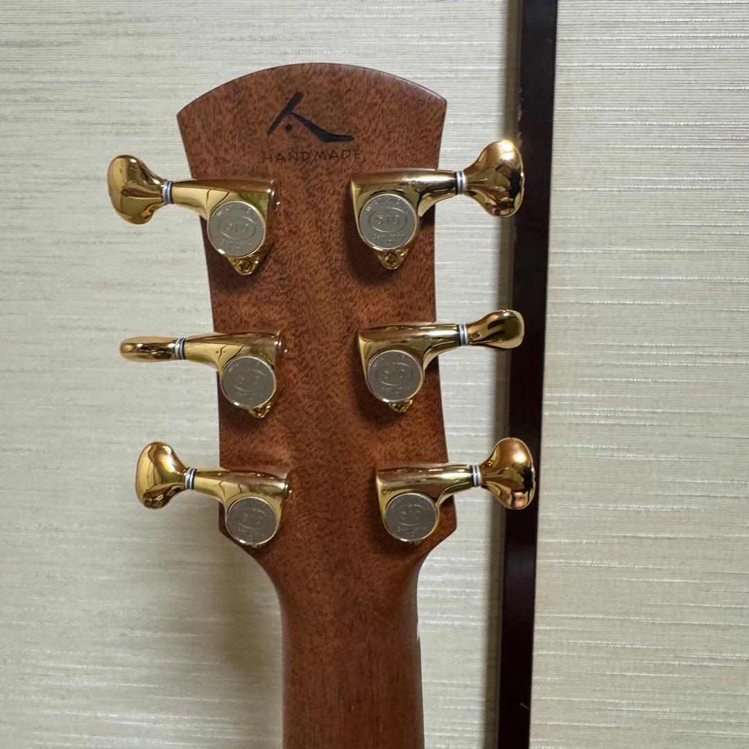 Ayers アコースティックギター CustomShop 限定版 ココボロ 錦鯉
