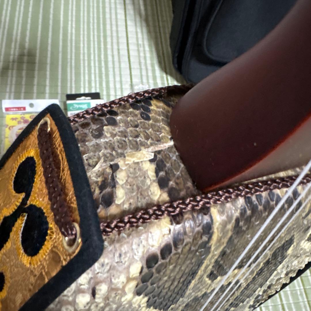 三線 蛇三線 本皮 本革 蛇皮 蛇革 三味線 琉球 沖縄 楽器　ソフトケース付き