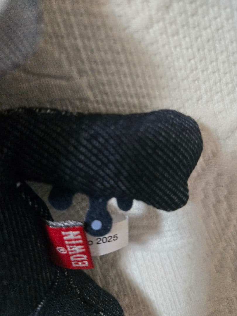 EDWIN　ミャクミャク　万博