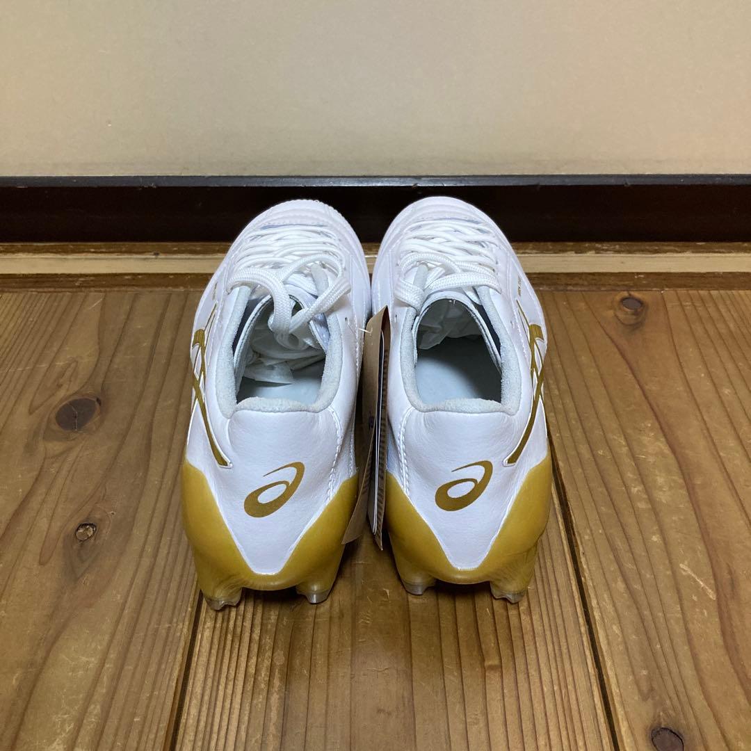 新品未使用未試着　ASICS DS LIGHT X-FLY4