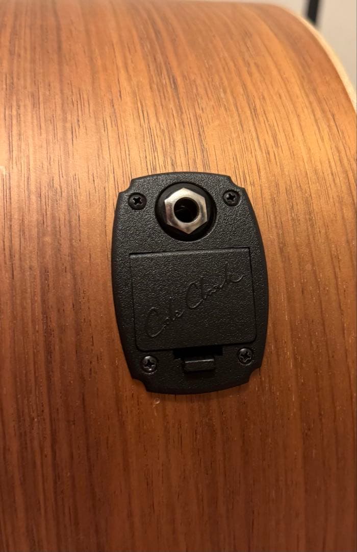 【Cole Clark】アコースティックギター FL2EC-BB