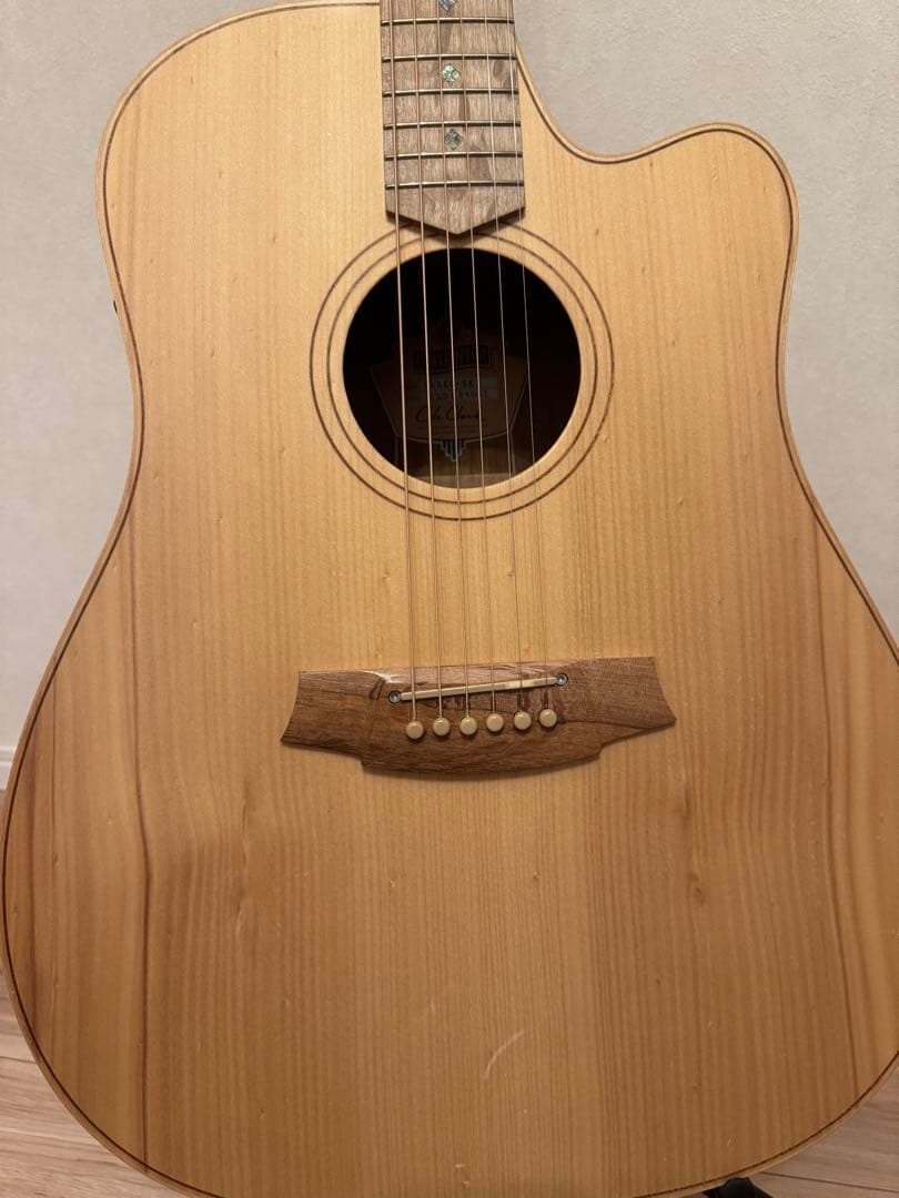 【Cole Clark】アコースティックギター FL2EC-BB
