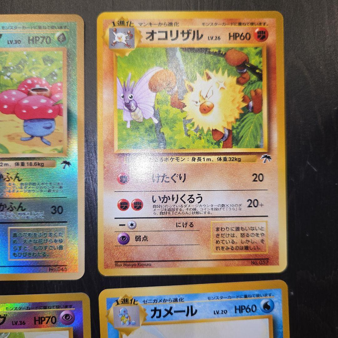 ポケモンカード旧裏 プレミアムファイル/トロピカルアイランド