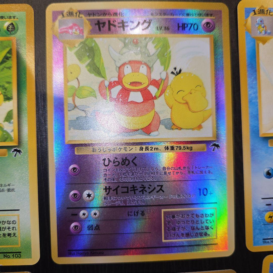 ポケモンカード旧裏 プレミアムファイル/トロピカルアイランド