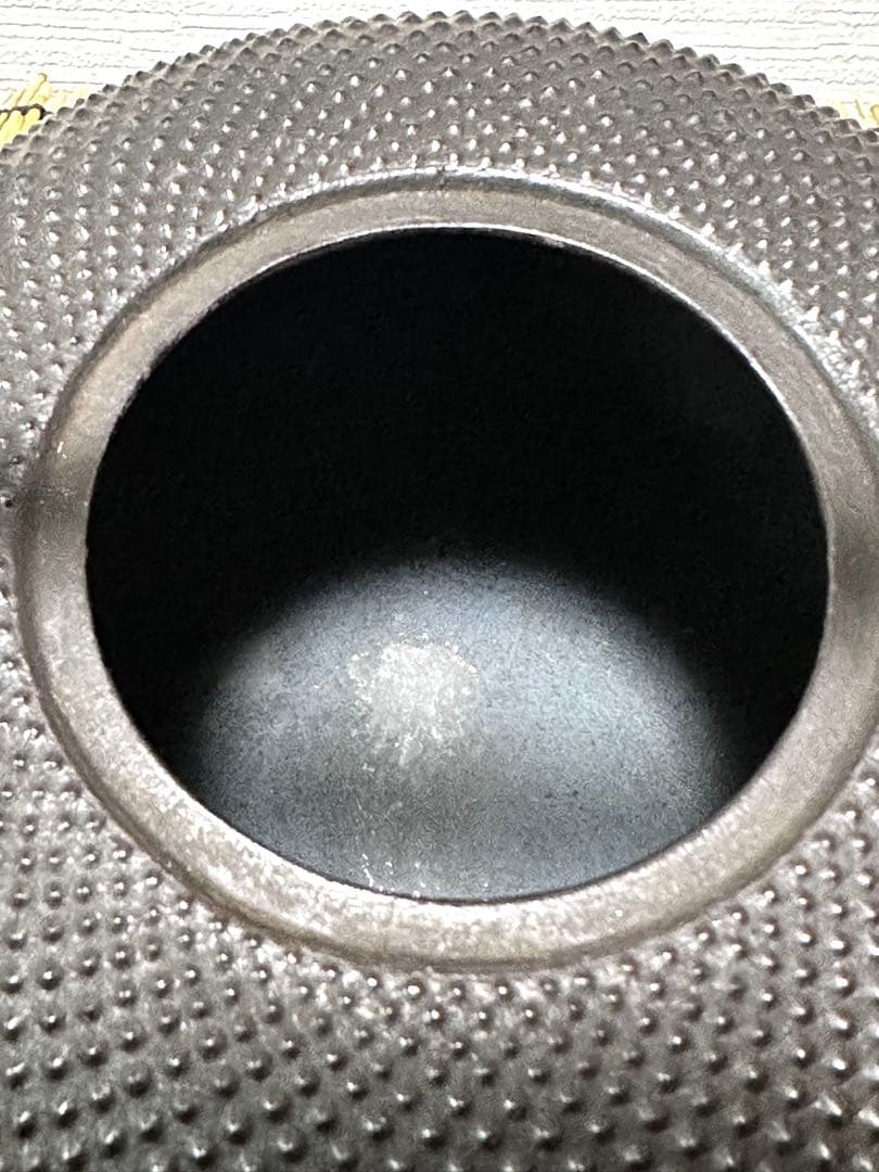 新品、供箱等付属品付　南部藤枝工房　藤枝　昌行作　１２型アラレ　南部鉄瓶