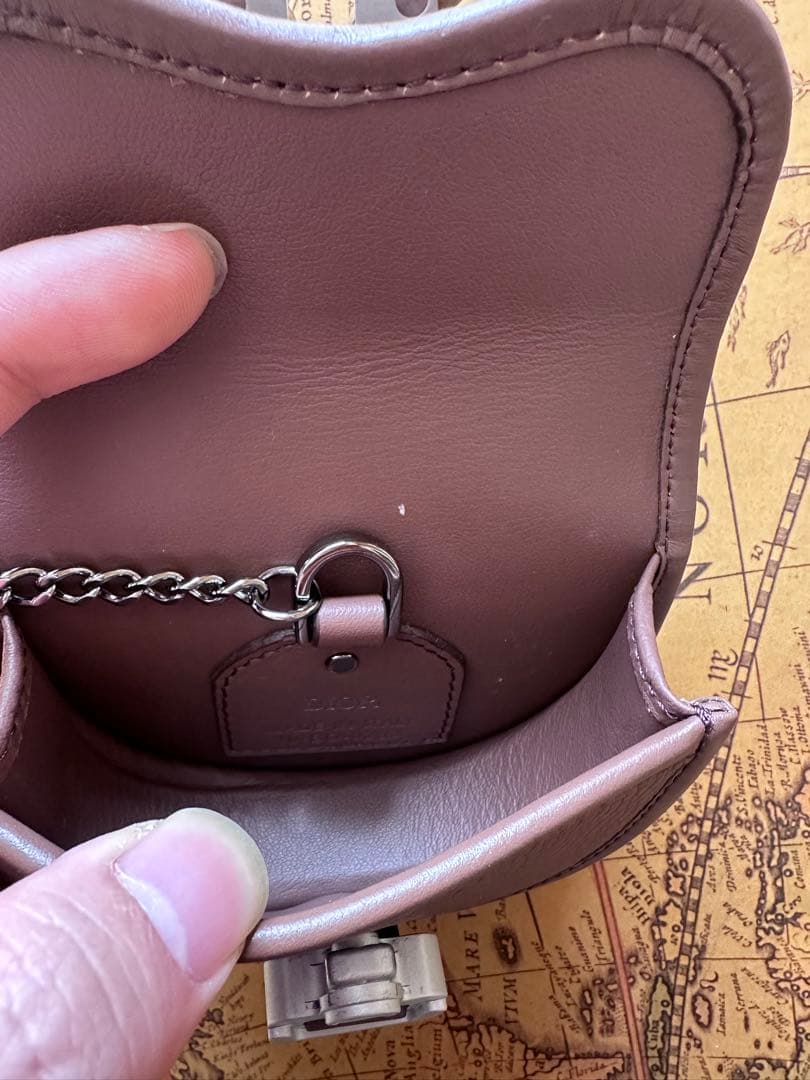 Dior ローラーコースター　air pods pro 小物　ケース