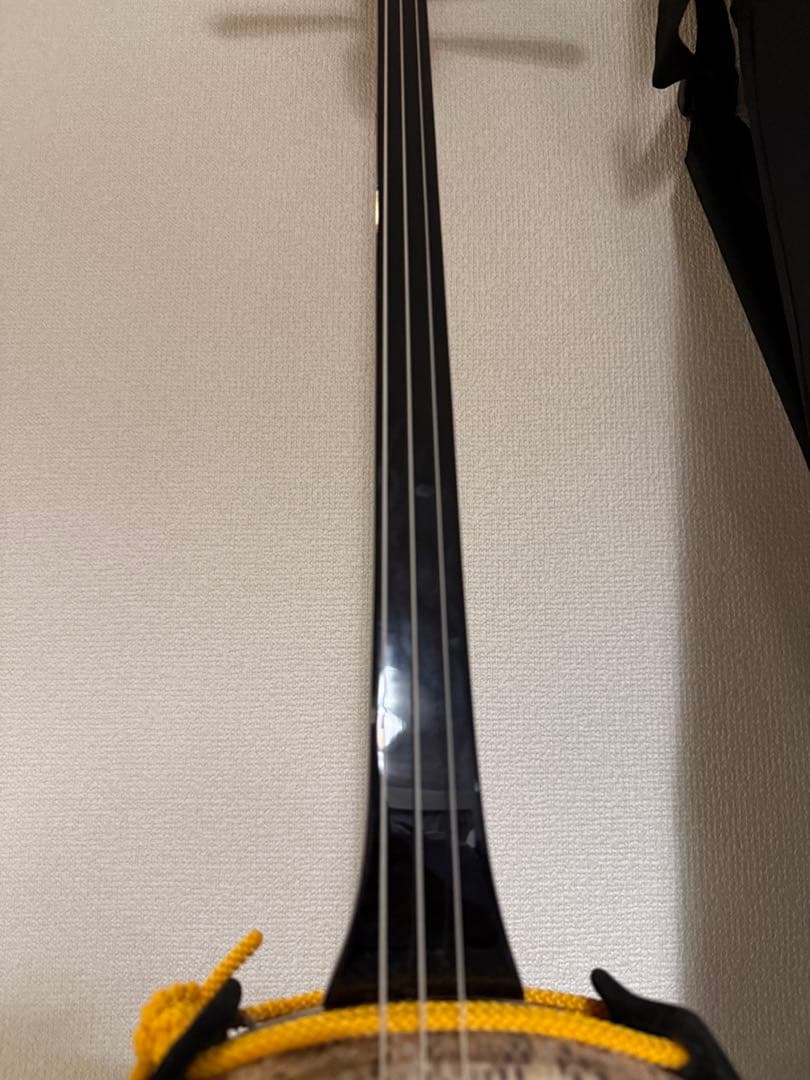 ま*✳様 三線（蛇皮／沖縄購入品）ケース付き　さんしん