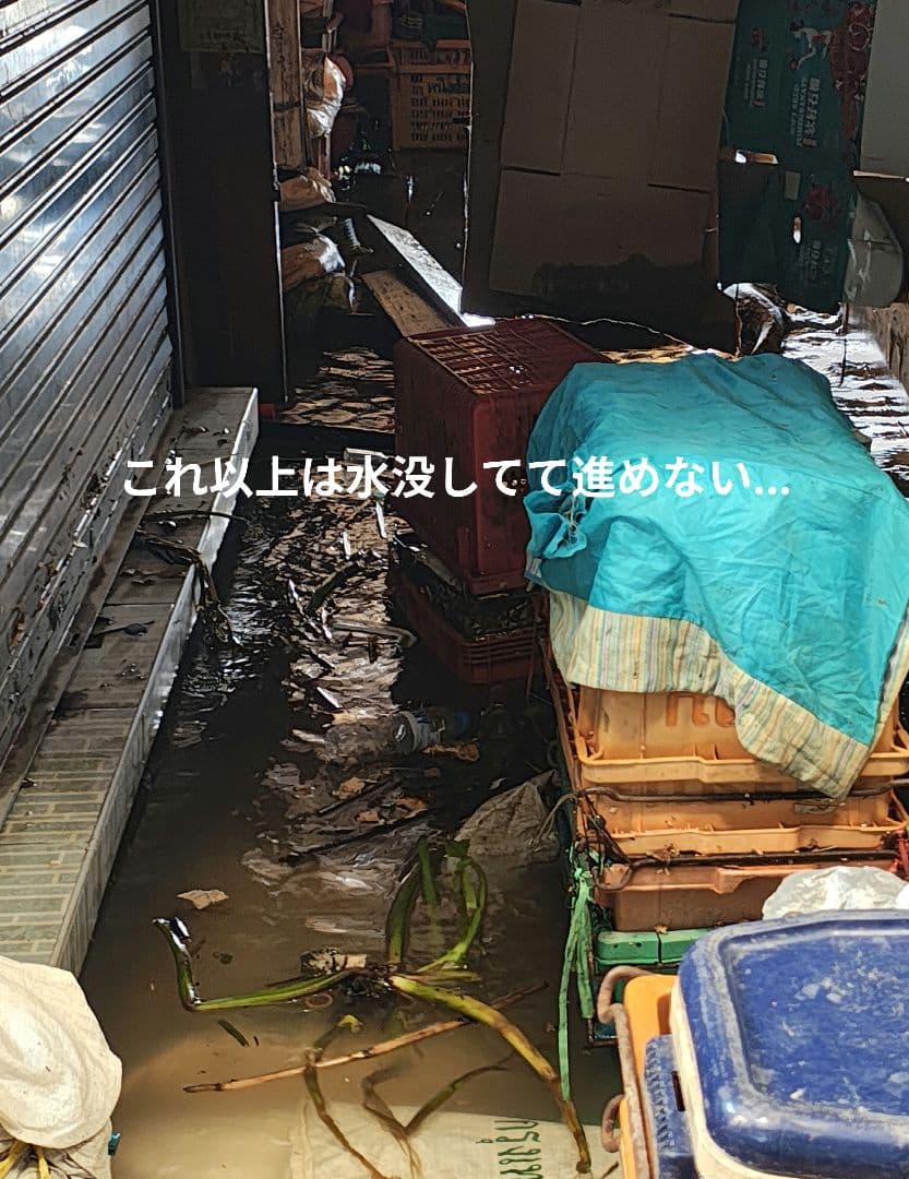 【MADAM】タイのお守りプラクルアン呪物？繁栄&幸運値アップ！ルーククロップ！