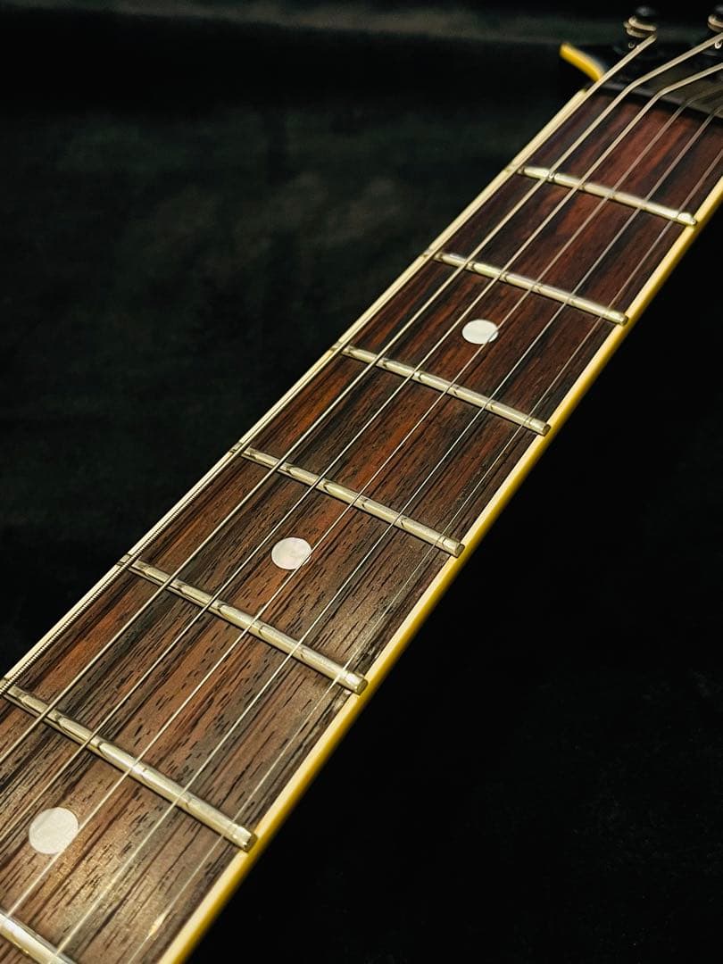 FERNANDES TE-95HT 布袋寅泰モデル