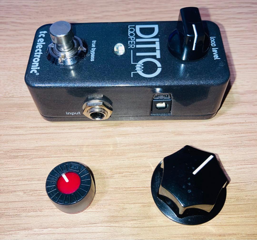 tc electronic DITTO LOOPER(おまけ有り)