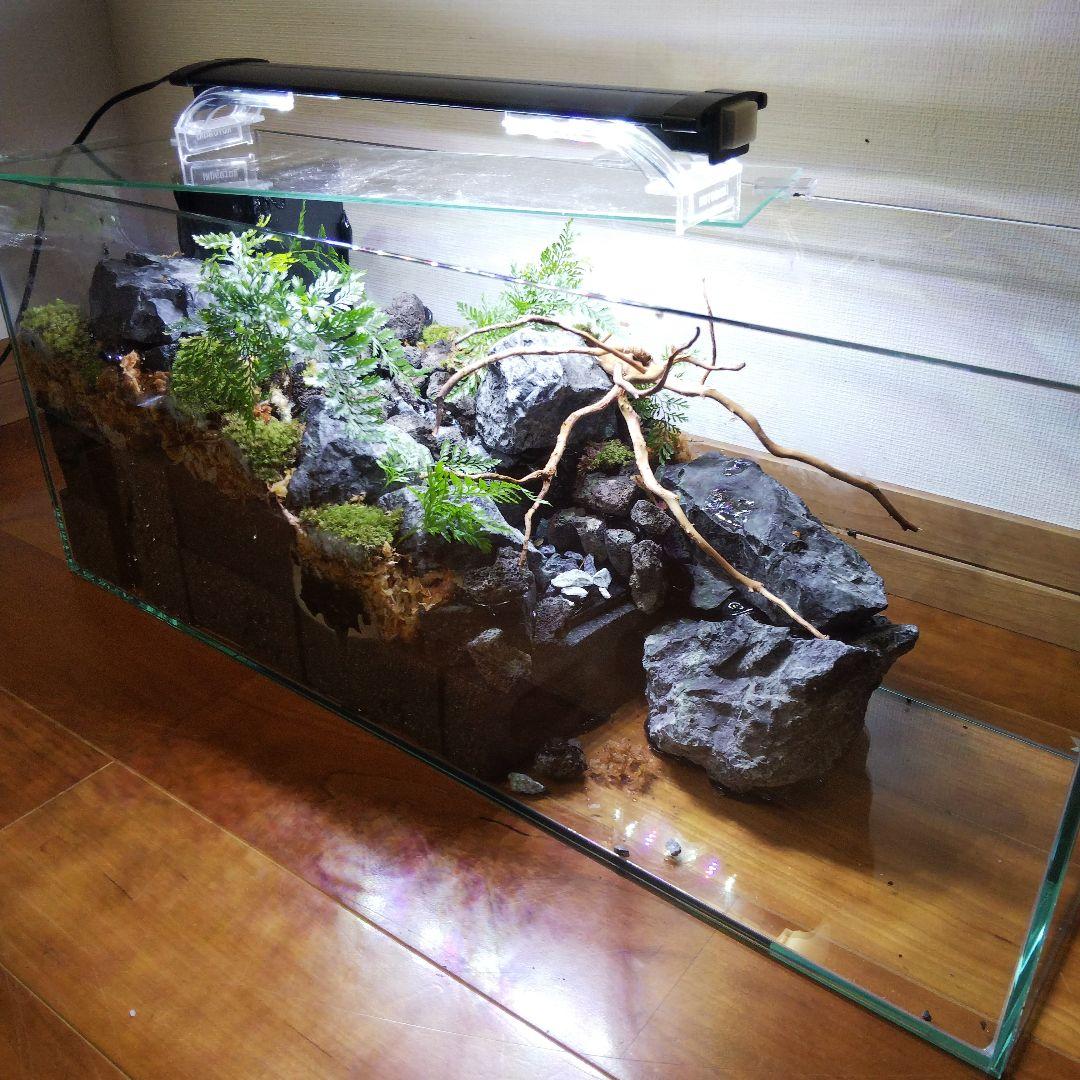 【受注生産】６0センチ水槽アクアテラリウム　イモリウム　苔テラリウム　テラリウム
