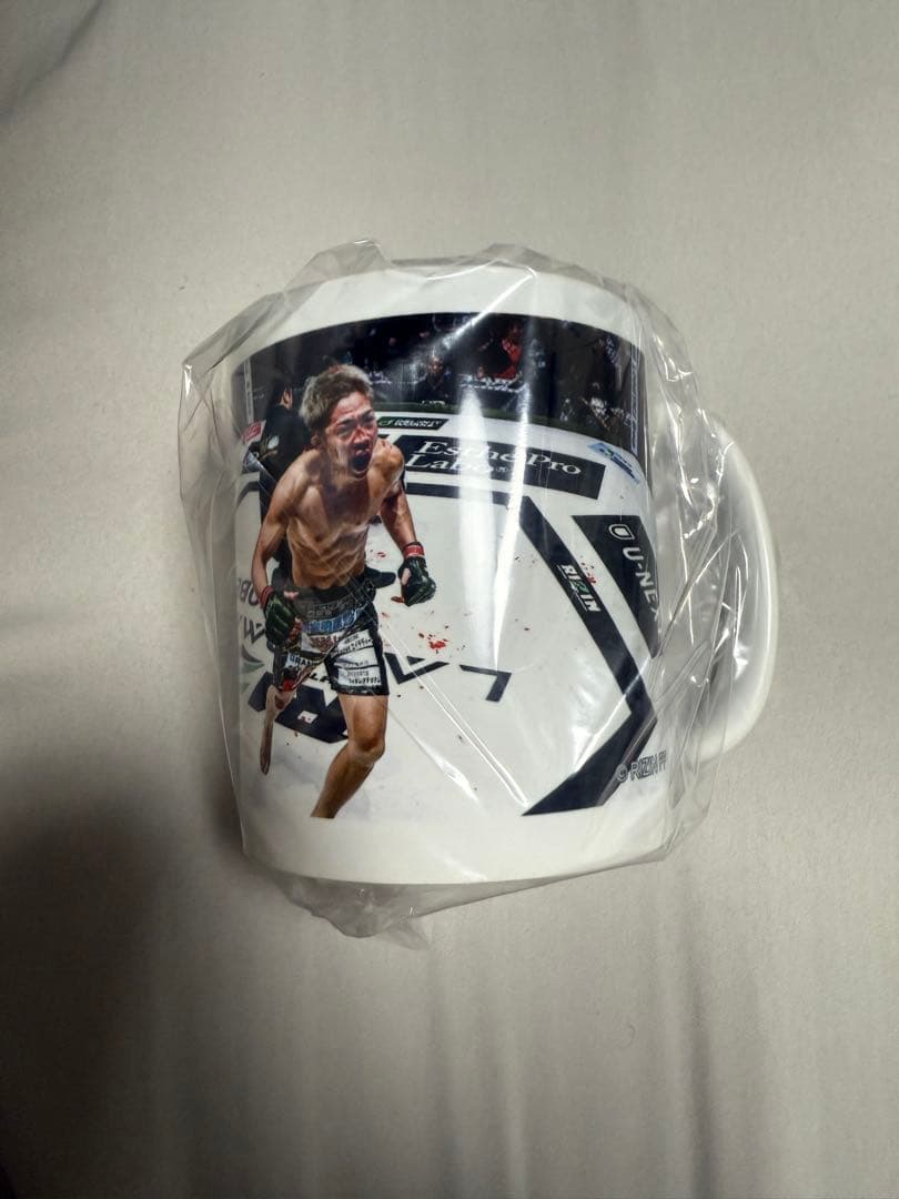 RIZIN LANDMARK 12 マグカップ